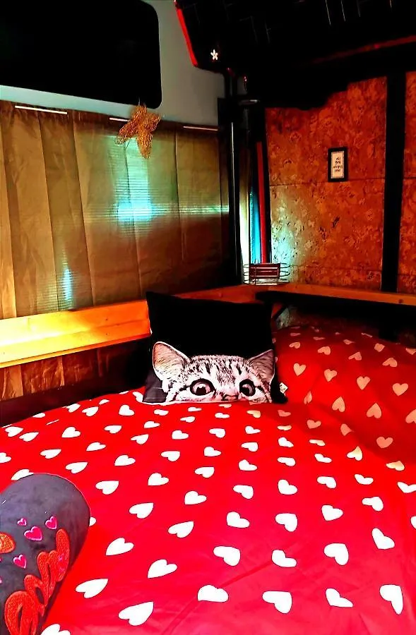 Rinconcito Dreams Hotel Tahiche 0*,
